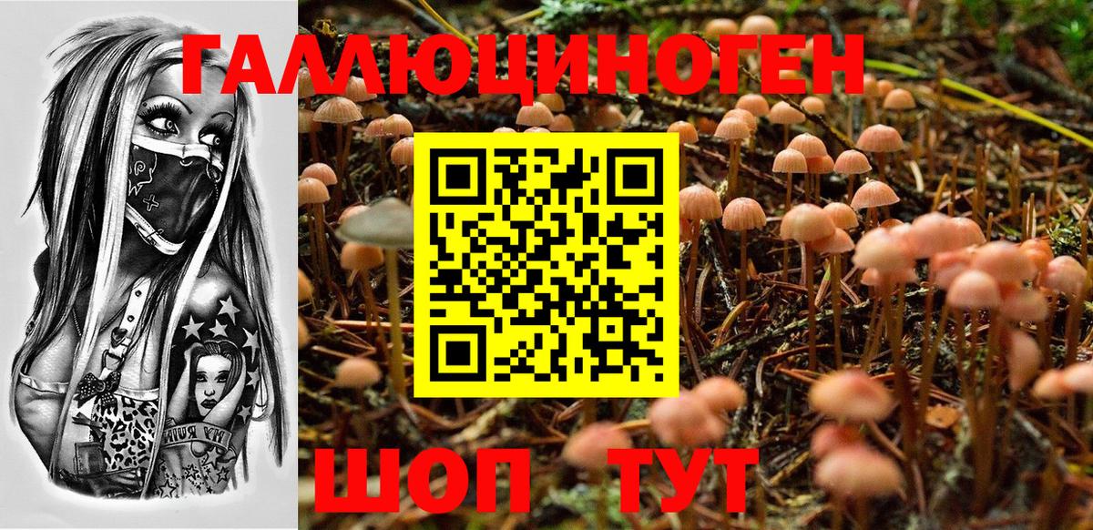 Серов  Галлюциногенные грибы мухоморы  Вход с VPN  Псилоцибиновые грибы MAGIC MUSHROOMS 