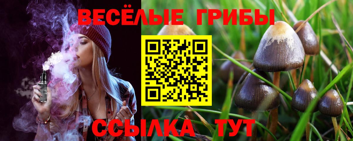 Псилоцибиновые грибы Psilocybe Серов